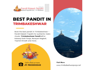 best-pandit-in-trimbakeshwar-pandit-rakesh-tripathi-small-0