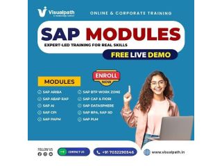 upgrade-your-career-with-advanced-sap-training-at-visualpath-small-0