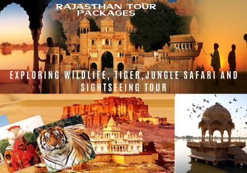 rajasthan-safari-booking-tiger-leopard-safari-big-0