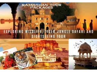 rajasthan-safari-booking-tiger-leopard-safari-small-0