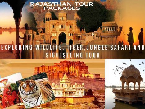 rajasthan-safari-booking-tiger-leopard-safari