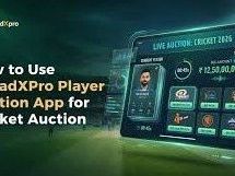 professional-cricket-auction-software-for-cricket-leagues