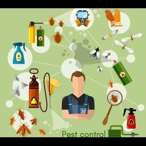 fumigation-and-pest-management-services-cisb-big-0