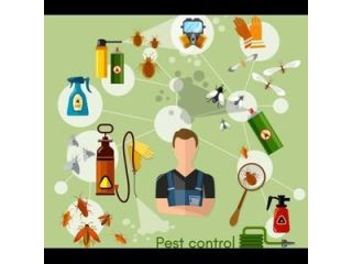 fumigation-and-pest-management-services-cisb-small-0