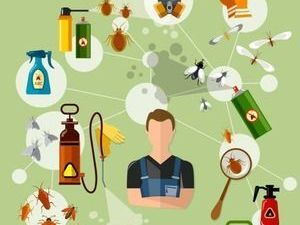 fumigation-and-pest-management-services-cisb