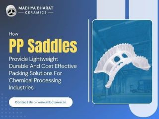 pp-saddles-manufacturer-for-industrial-tower-packing-use-small-0