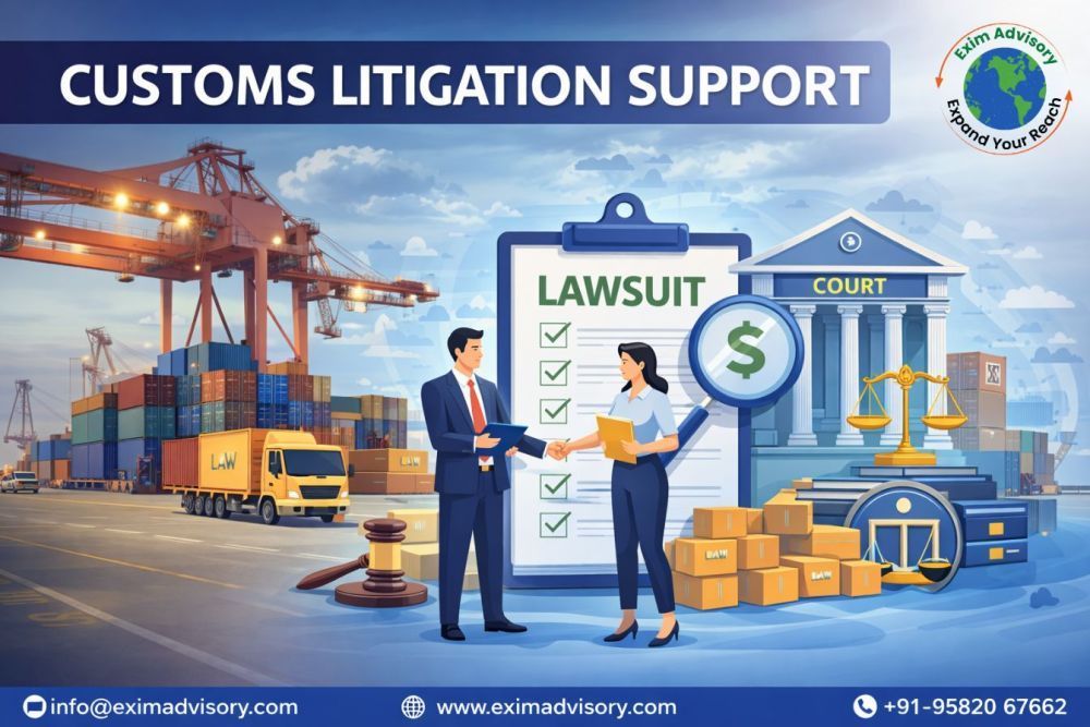 professional-customs-litigation-support-for-trade-exim-advisory-big-0
