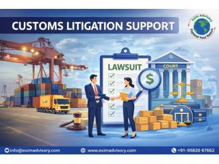 professional-customs-litigation-support-for-trade-exim-advisory-small-0