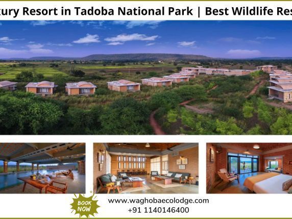 book-luxury-resort-in-tadoba-national-park