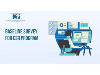 baseline-survey-for-csr-program-importance-steps-small-0