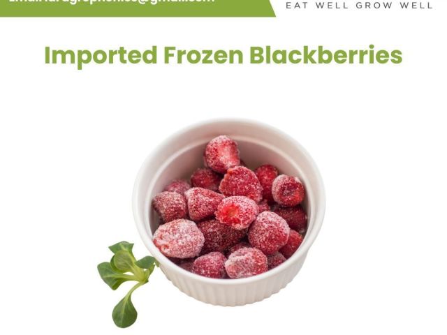buy-imported-frozen-blackberries-online-agrophonics