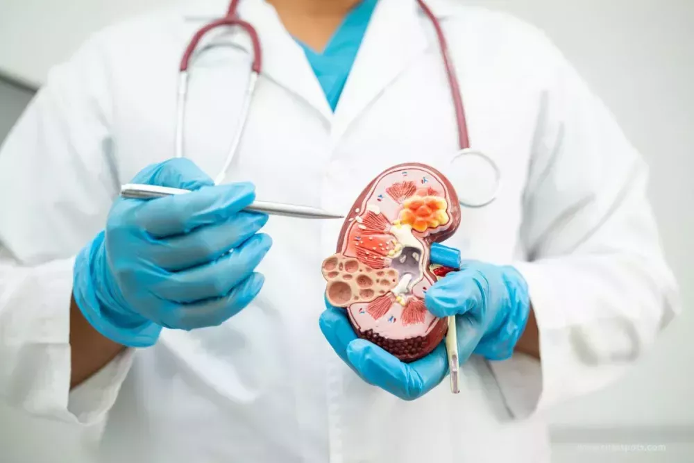 international-patient-services-in-india-curespots-big-0