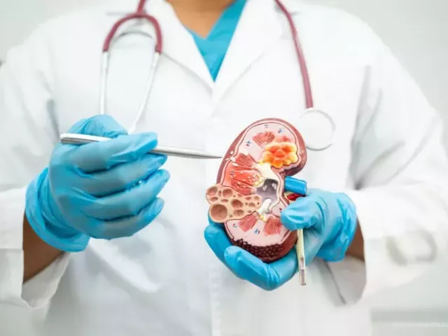 international-patient-services-in-india-curespots