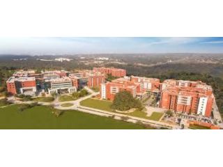animation-excellence-best-bsc-animation-college-in-haryana-small-0