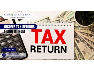 expert-income-tax-filing-services-in-india-ca-support-small-0