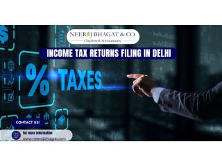 professional-income-tax-returns-filing-in-delhi-trusted-ca-firm-small-0