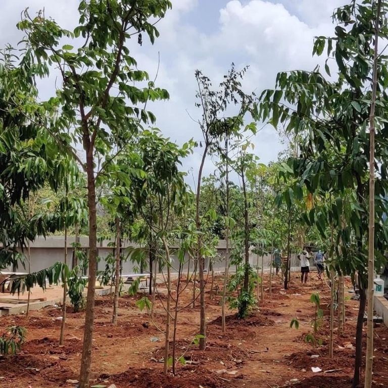 leading-landscape-designer-in-mumbai-for-projects-greenlands-big-0