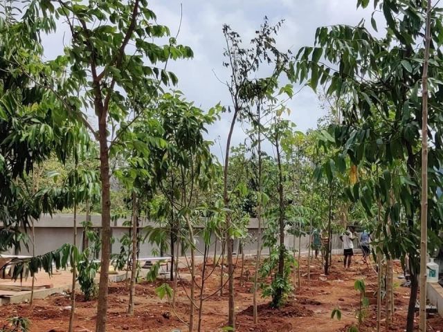 leading-landscape-designer-in-mumbai-for-projects-greenlands