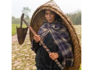 north-east-tour-package-where-nature-heritage-serenity-unite-small-3