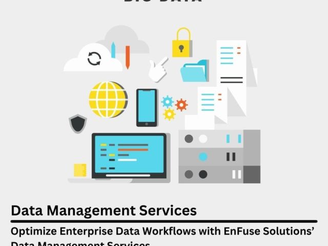 optimize-data-workflows-with-enfuse-solutions