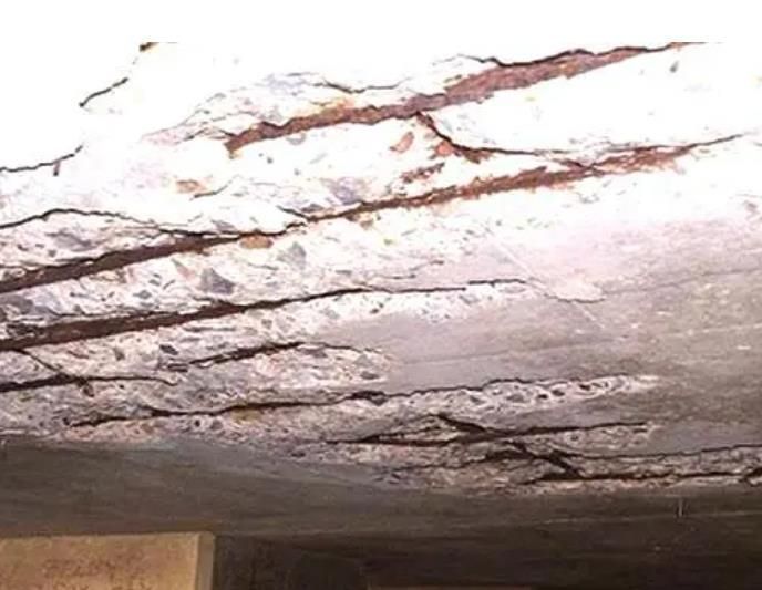 best-roof-protection-experts-prevent-leaks-damage-big-0