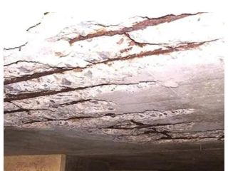 best-roof-protection-experts-prevent-leaks-damage-small-0