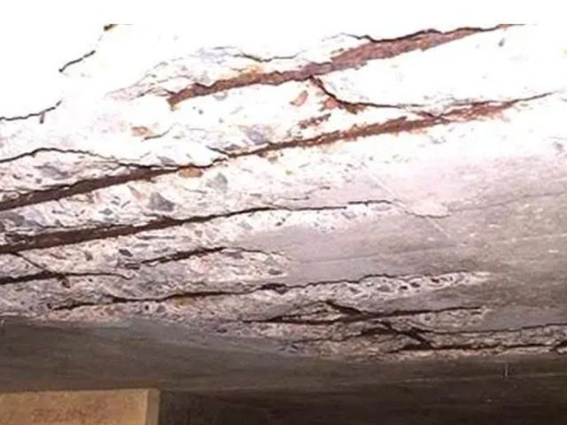best-roof-protection-experts-prevent-leaks-damage