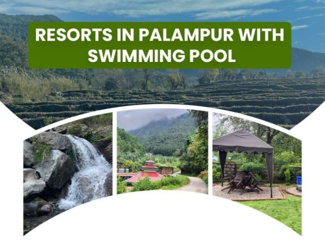 resorts-in-palampur-with-swimming-pool-and-luxury-stay