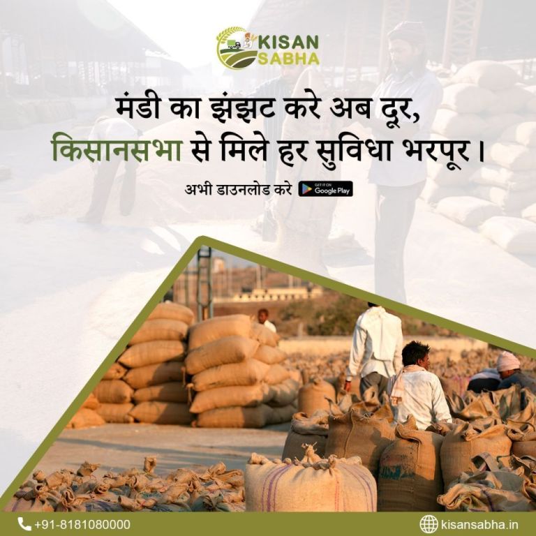 reliable-agri-logistics-services-kisansabha-big-0