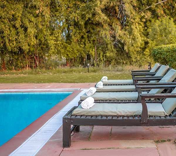 tiger-machan-luxury-resort-experience-in-ranthambore-big-2