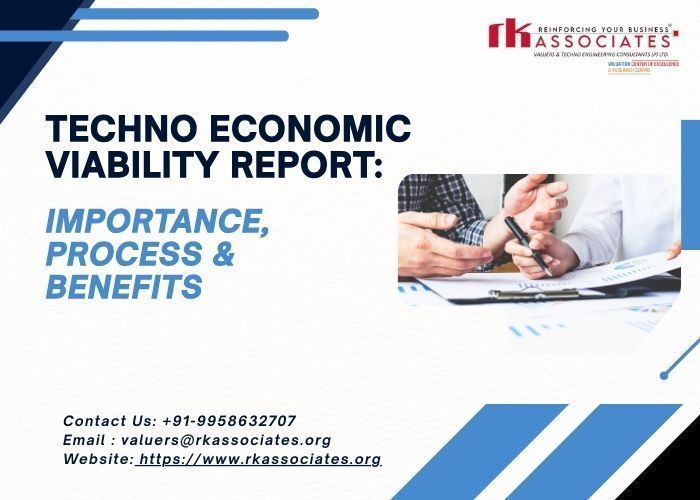 detailed-techno-economic-viability-report-for-projects-big-0