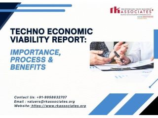 detailed-techno-economic-viability-report-for-projects-small-0