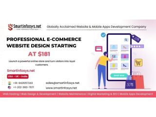professional-e-commerce-website-design-starting-at-181-small-0