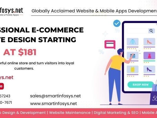 professional-e-commerce-website-design-starting-at-181