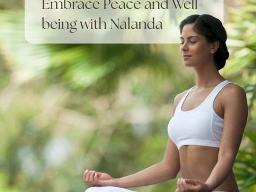 yoga-meditation-retreat-in-goa-join-nalanda-wellness-retreat
