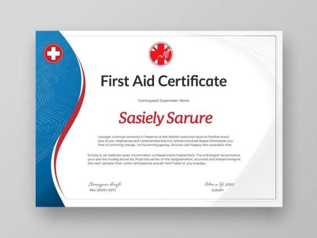 professional-first-aid-certification-course