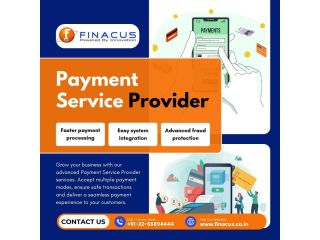 payment-service-provider-aeps-software-provider-small-0