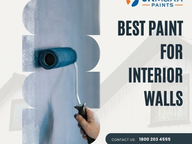 best-paint-for-interior-walls-for-long-lasting-color