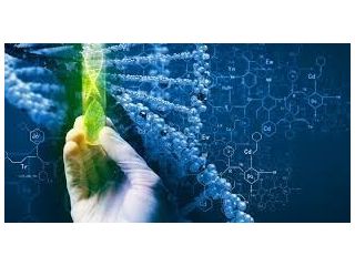 advanced-research-at-m-tech-biotech-colleges-in-up-small-0