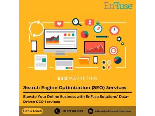 enfuse-solutions-data-driven-seo-services-for-online-business-small-0