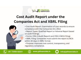 cost-audit-report-under-the-companies-act-and-xbrl-filing-small-0