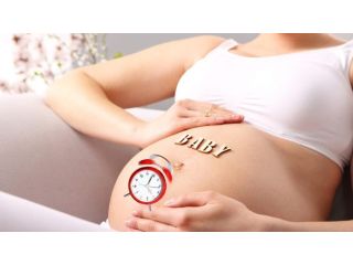 why-choose-the-best-surrogacy-in-lucknow-small-0