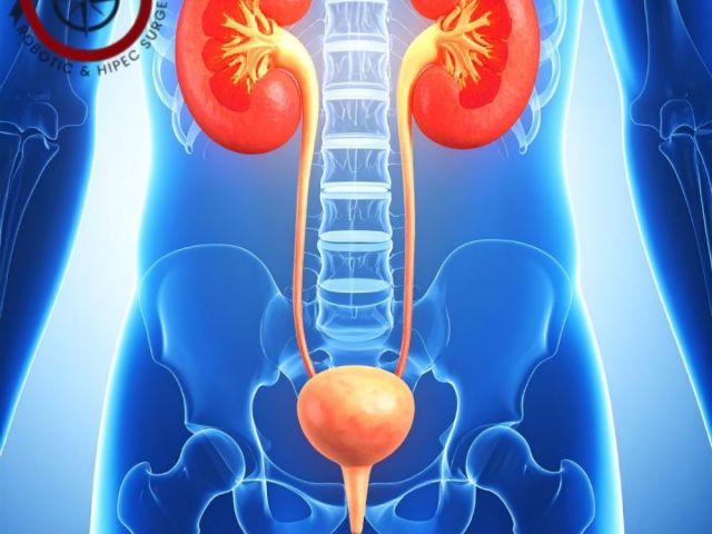 best-urology-cancer-surgeon-in-ahmedabad-for-safe-treatment