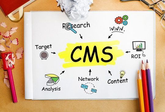wordpress-shopify-cms-website-development-services-big-0