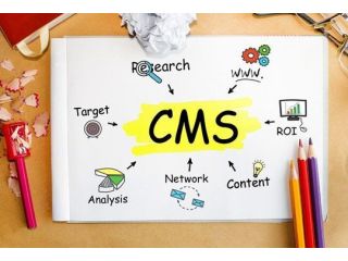 wordpress-shopify-cms-website-development-services-small-0
