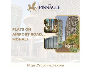 exclusive-flats-on-airport-road-mohali-small-0