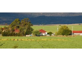 naugaon-farm-house-plots-perfect-weekend-living-small-1