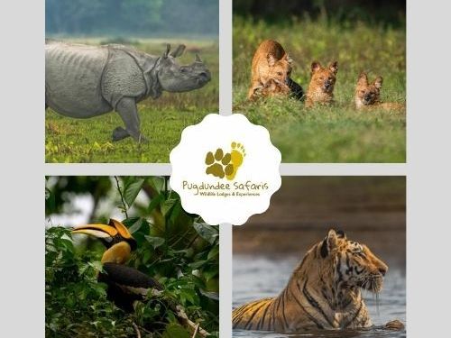 book-your-india-wildlife-tour-packages-at-best-price