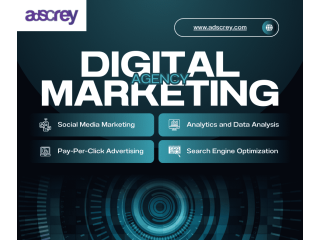 best-digital-marketing-agency-in-india-adscrey-small-0