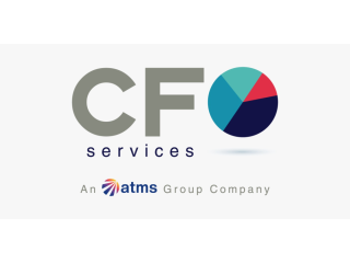 virtual-cfo-services-for-startups-smes-small-0